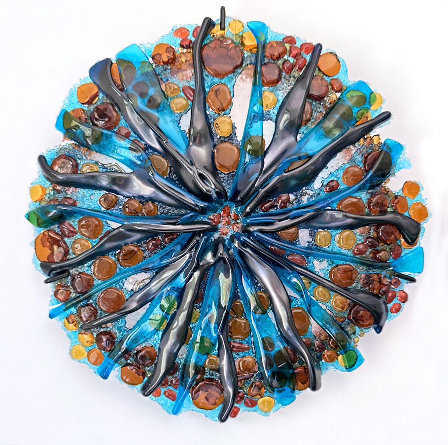 Coral Colony